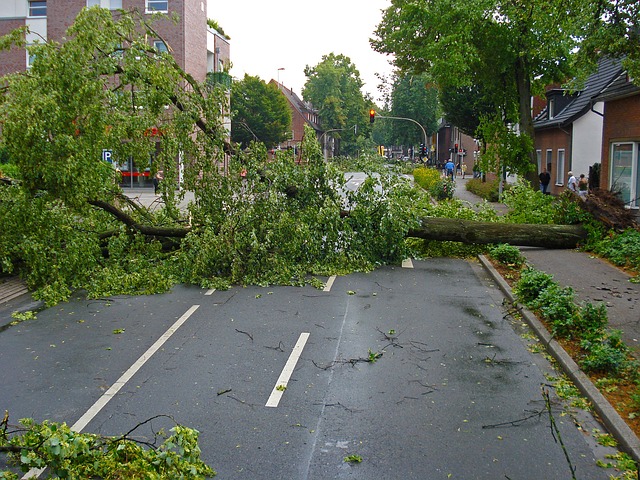 47.000 schades door storm Ciaràn